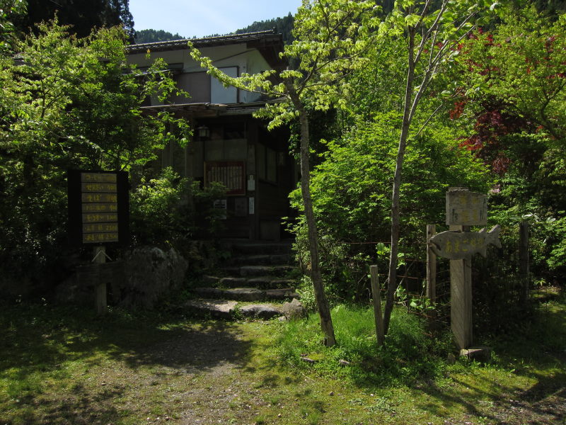 満開、そして散り桜。桃源郷のような光景！佐々里峠－春の緑に魅せられて花脊～美山・京北サイクリング③_e0138081_682331.jpg