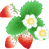 b0136683_225568.gif