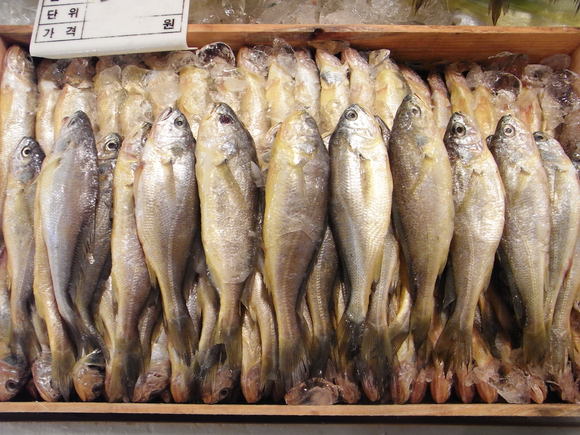 ソウルの魚市場 ~ノリャンジン水産市場再訪~ 120506_c0237483_10361.jpg