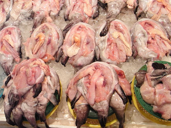 ソウルの魚市場 ~ノリャンジン水産市場再訪~ 120506_c0237483_11462.jpg