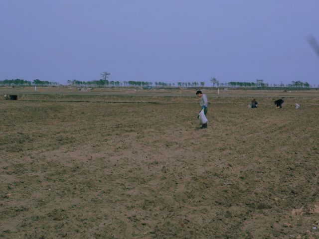 f0226686_13035.jpg