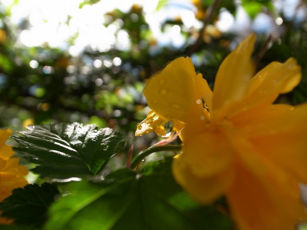 b0078188_10104993.jpg
