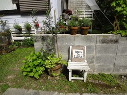b0146196_064710.jpg