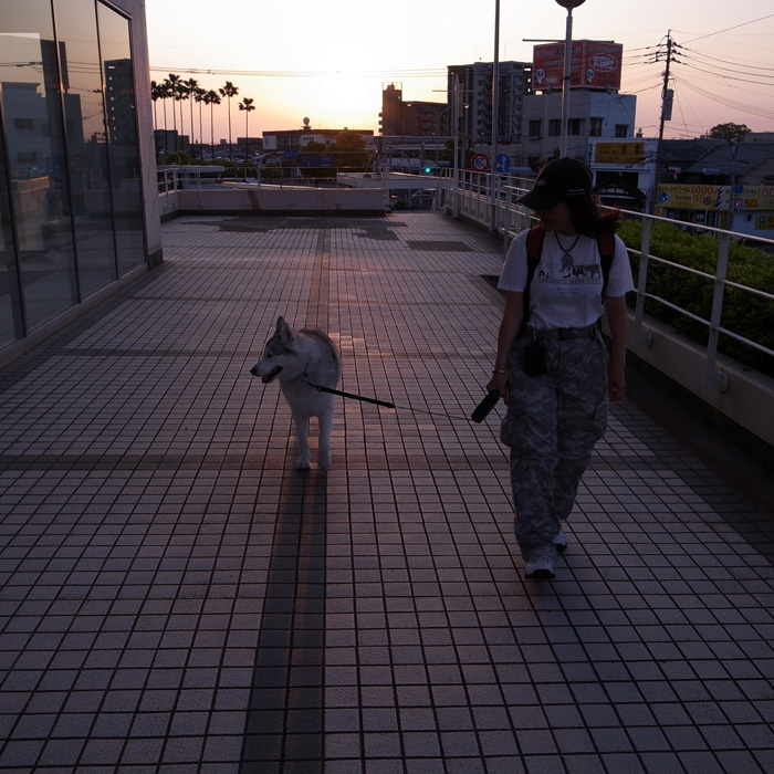 さわやかなり by CX5 & GRD3_c0049299_134253.jpg
