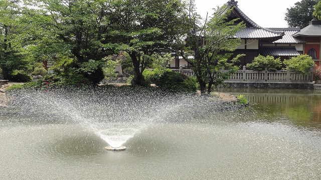 岡山三大花めぐり_c0125501_1937495.jpg