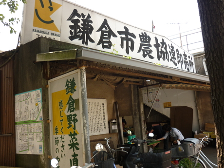 a0224502_133888.jpg