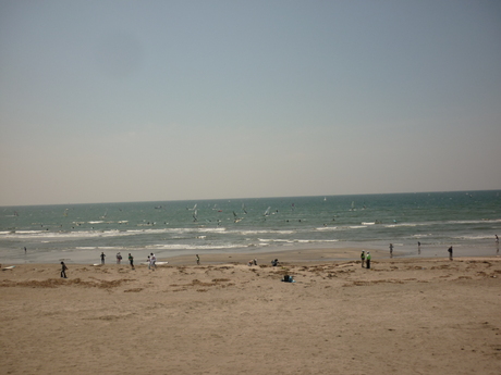 a0224502_13521614.jpg