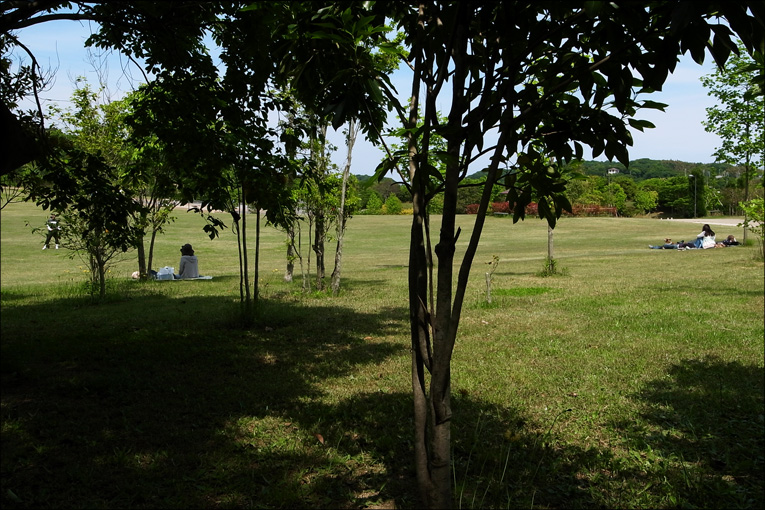 c0102003_15511146.jpg