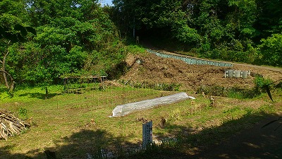 e0270403_05933.jpg