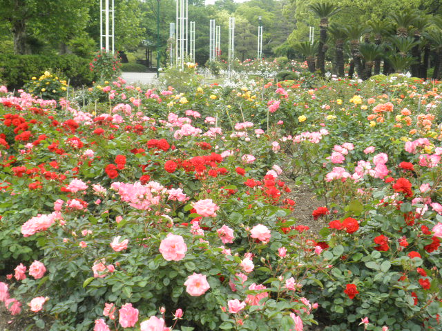c0152507_8445149.jpg