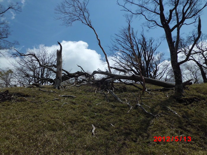 檜洞丸　親子登山②　（檜洞丸－用木沢出合）_c0242108_8265065.jpg