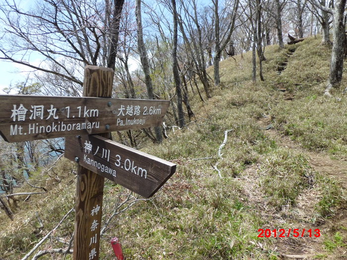 檜洞丸　親子登山②　（檜洞丸－用木沢出合）_c0242108_8282453.jpg