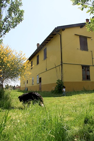 a0142810_1814437.jpg