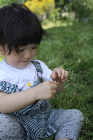 a0142810_1816871.jpg