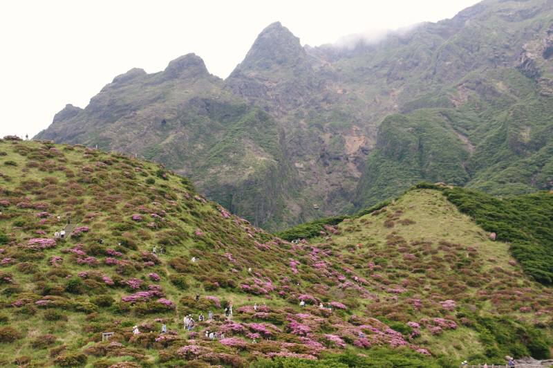 f0212511_237327.jpg