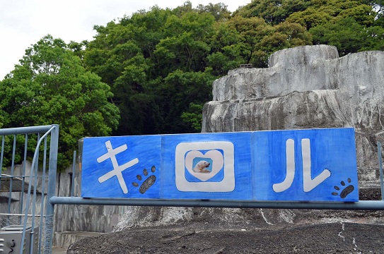 曇天の日曜日の浜松市動物園　～　キロルの陽気なおもちゃ遊び_a0151913_2115179.jpg