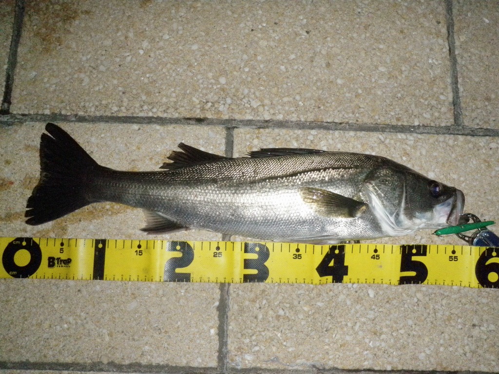 c0022113_919243.jpg