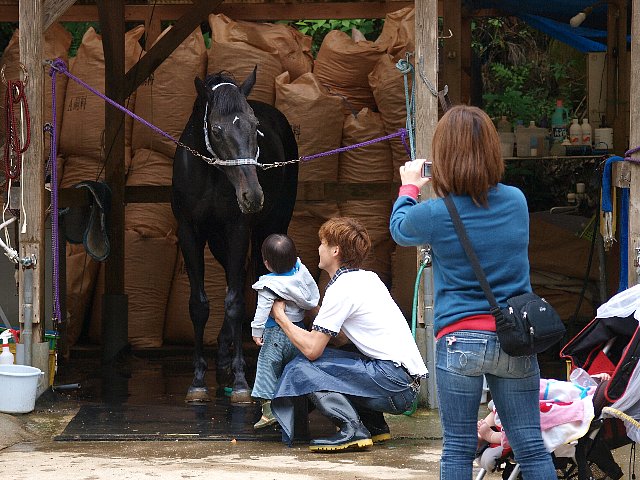 元気に賑やかに♪_b0187620_22353226.jpg