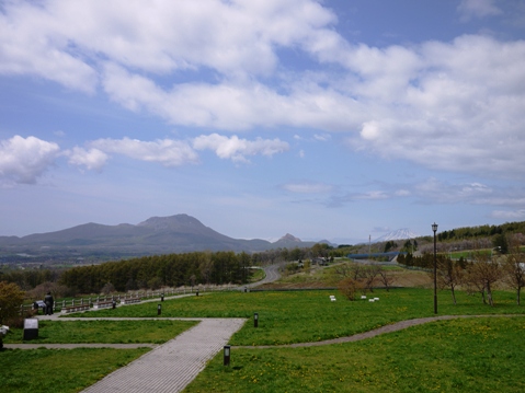 f0113427_1155420.jpg