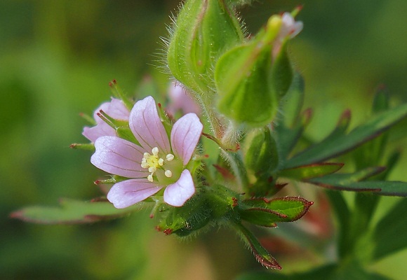 f0214527_13475449.jpg