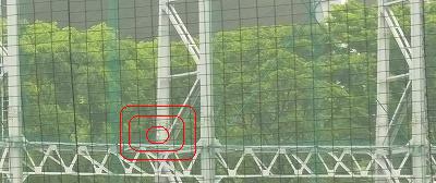 国士舘大対専修大 5月9日 東都大学野球2部_b0166128_1481328.jpg