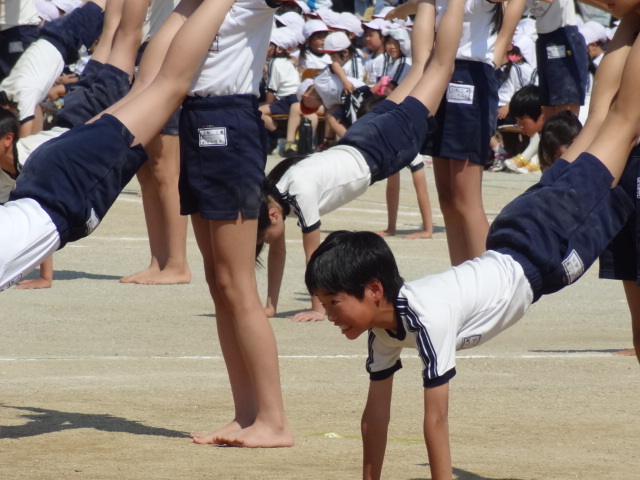 タイちゃんの運動会_e0016828_973785.jpg