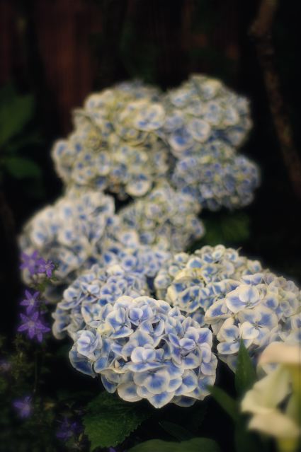 e0044929_22595783.jpg
