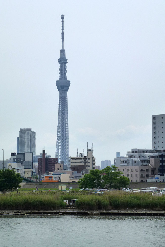 a0017831_1936951.jpg