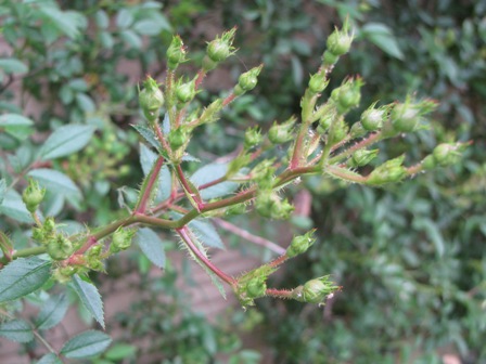 f0041031_22524868.jpg