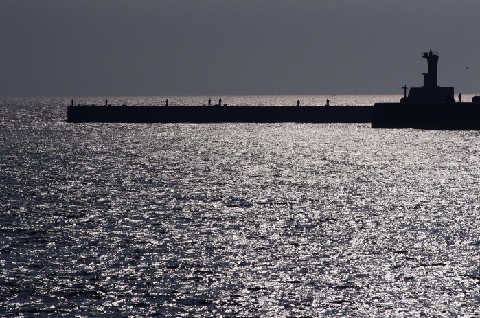 d0237340_2014454.jpg