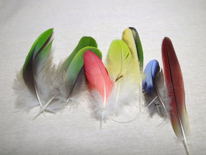 ヘアー用ラメ、鳥の羽「髪飾りに！フライフィシングの、毛針に！」 ヘアー用ラメ、鳥の羽「髪飾りに！フライフィシングの、毛針に！」