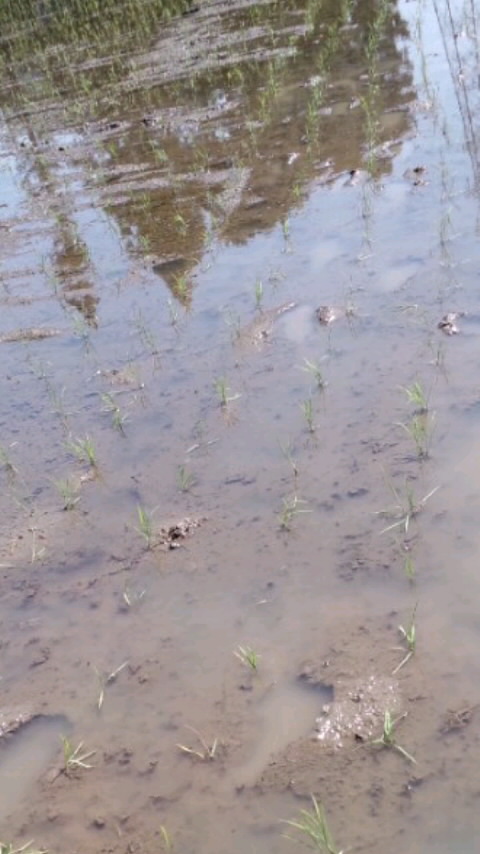 b0135545_91656100.jpg