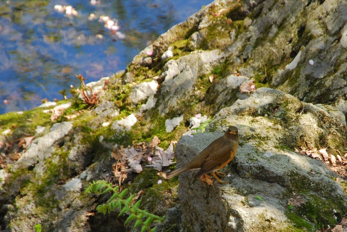 a0238350_15312483.jpg