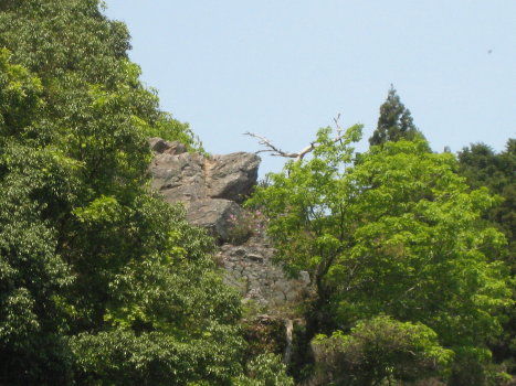 c0073152_07419.jpg