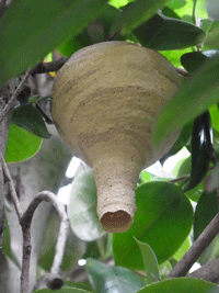 e0010353_2122290.gif