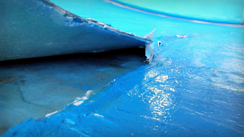 e0105954_9443692.jpg