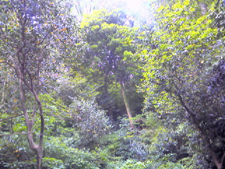 a0193762_16124097.jpg