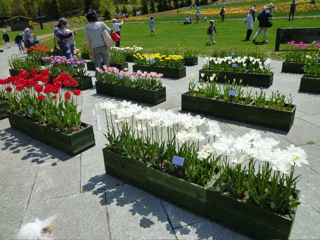 b0122262_21115950.jpg