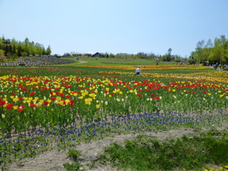 b0122262_218956.jpg