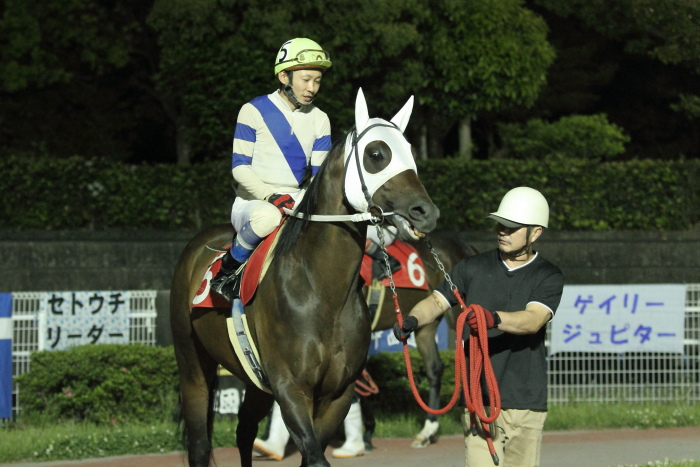 2012年5月19日（土） 高知競馬 11R 四万十の花菖蒲特別 B-1選抜馬_a0077663_7243621.jpg