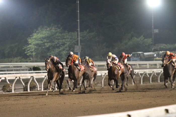 2012年5月19日（土） 高知競馬 11R 四万十の花菖蒲特別 B-1選抜馬_a0077663_7252482.jpg