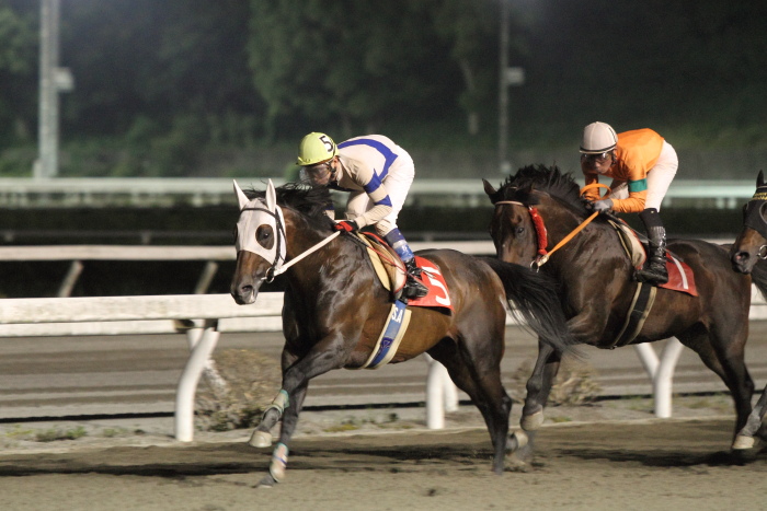 2012年5月19日（土） 高知競馬 11R 四万十の花菖蒲特別 B-1選抜馬_a0077663_72527.jpg