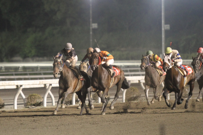 2012年5月19日（土） 高知競馬 11R 四万十の花菖蒲特別 B-1選抜馬_a0077663_7253249.jpg