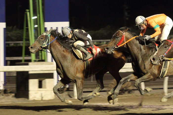 2012年5月19日（土） 高知競馬 11R 四万十の花菖蒲特別 B-1選抜馬_a0077663_7253987.jpg