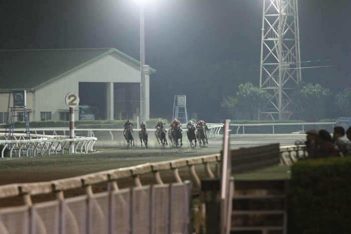 2012年5月19日（土） 高知競馬 11R 四万十の花菖蒲特別 B-1選抜馬_a0077663_725858.jpg