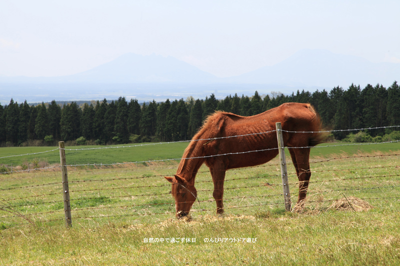 GW後半　モーモーランド久住オートキャンプ場　【大分県】_d0220663_2073829.jpg