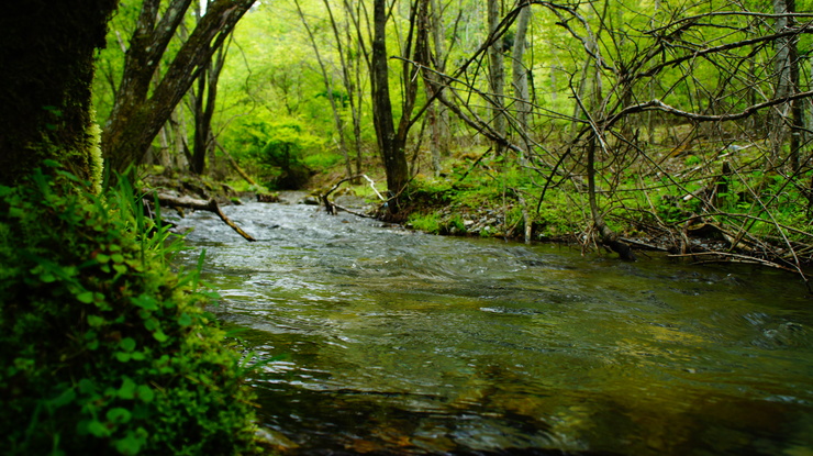 c0237264_16583718.jpg
