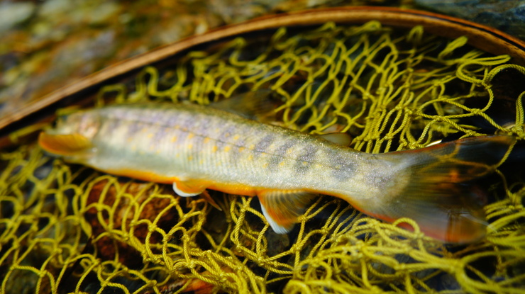 c0237264_1763382.jpg