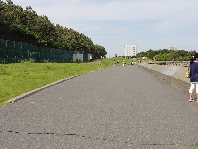 b0006870_23311190.jpg