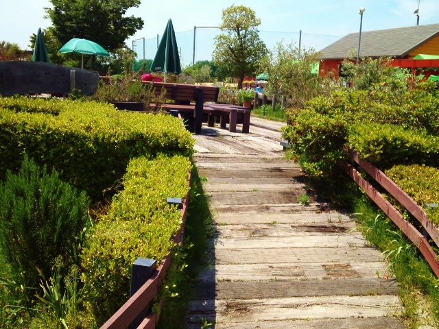 e0126576_14214996.jpg